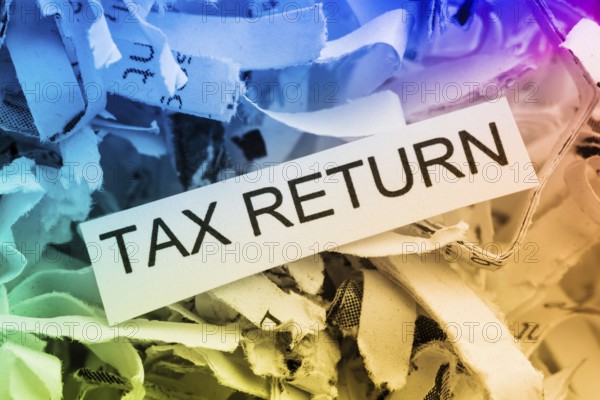 Paper shreds with the keyword Tax Return, symbolic photo for data destruction, data protection and tax law Austria