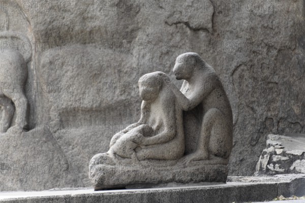 Stone sculpture of monkeys in an everyday scene, finely detailed, Mahabalipuram, Tamil Nadu, South India, India, Asia