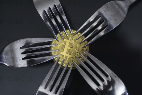 Bitcoin getting New Hard Fork Change, Physical Golden Crytocurrency Coin under the fork, Blockchain Transaction System Crisis Concept