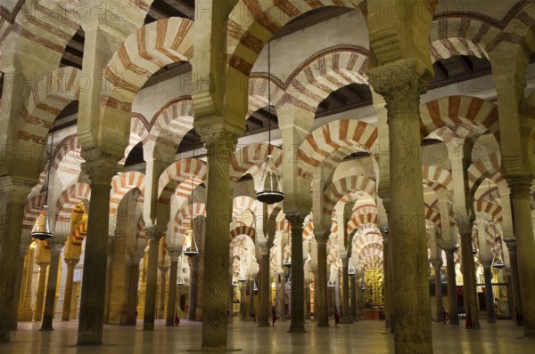 Prayer hall of the Mezquita, Cordoba, Andalusia, Spain Cordoba, Spain, Europe
