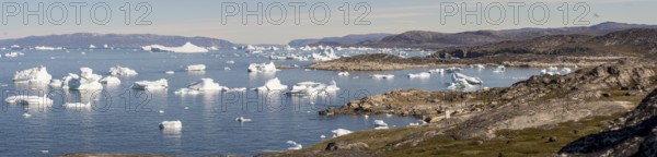 A breathtaking coastal landscape near Ilulissat, Greenland, featuring the Arctic Ocean dotted with massive icebergs. The rugged shoreline and icy waters create a serene yet dramatic scene, showcasing the pristine beauty of the Arctic wilderness, North America