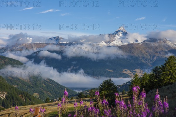3320 metre high mountain Pic de Rochebrune in the Queyras massif, seen from the mountain village of Saint-Veran, highest municipality in Europe, department Hautes Alpes, region Provence Alpes Cote d'Azur, Maritime Alps, Alps, France, Europe