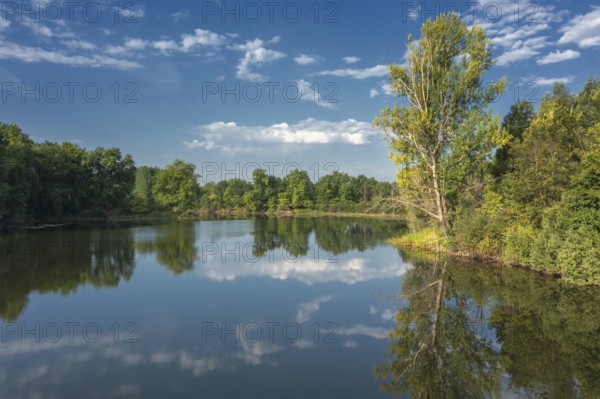 Landscape with calm summer lake in forest, sky reflection