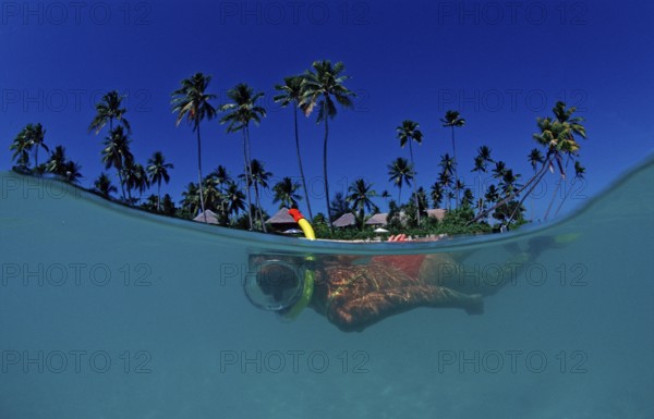Snorkelling on the beach in front of the resort, Indonesia, Wakatobi Dive Resort, Sulawesi, Indian Ocean, Banda Sea, Asia