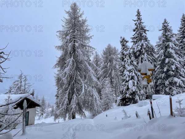 Chalets in the Motta Naluns ski area, Scuol, Graubünden, Switzerland, Europe