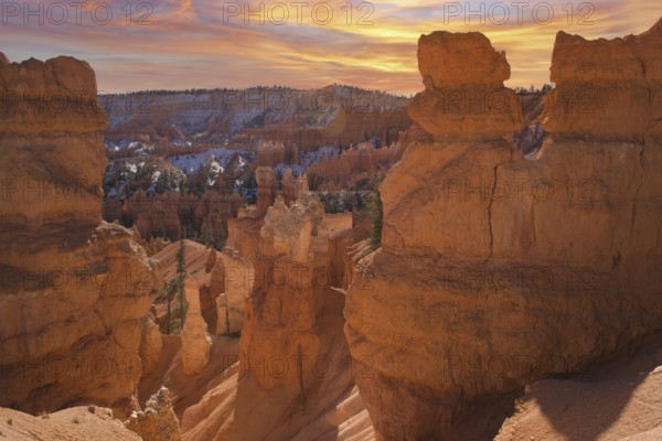 Bryce canyon national park in Utah during sunset. Travel and tourism