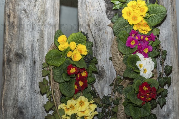 Original wall decoration on a weathered wooden wall with primroses