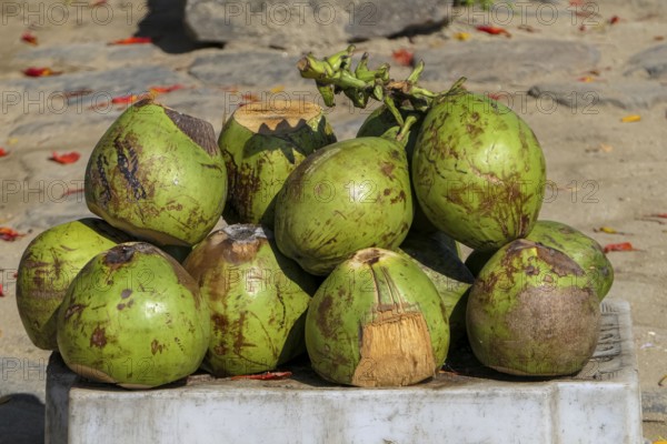 Close-up of fresh green coconuts stacked ready to sell on a market in historic town Paraty, Brazil, Unesco World Heritage, South America