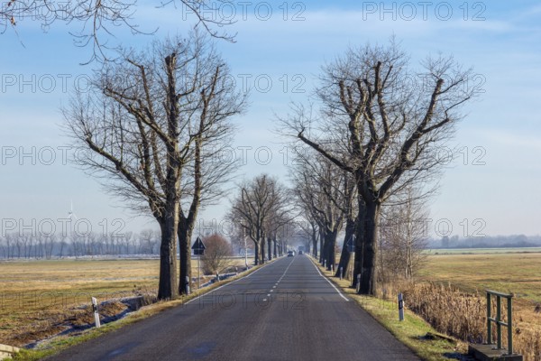 Avenue