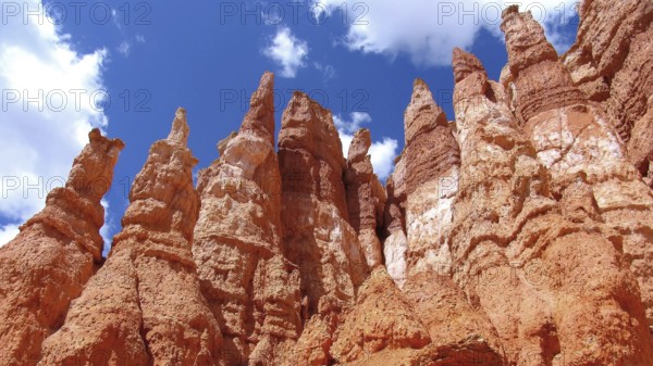 Hoodos des Bryce Canyon, Utah, USA, North America