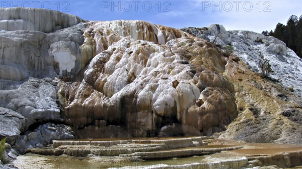 Cleopatra Terrace, Mammoth Hot Springs area, Yellowstone National Park, Wyoming, USA USA