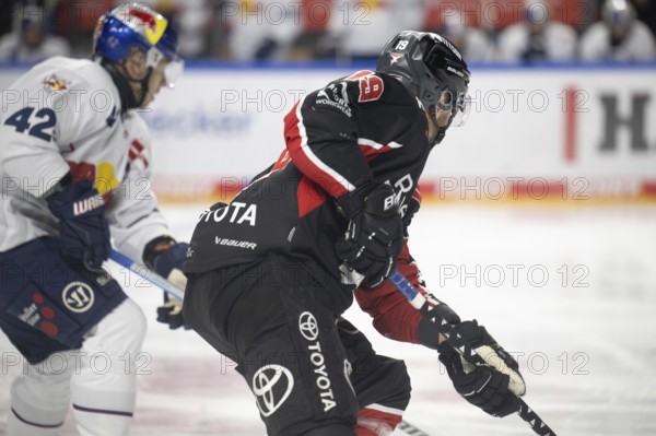 LanxessArena, Cologne, North Rhine-Westphalia, Frederik Storm (Cologne Sharks, #19), PENNY DEL, Cologne Sharks-EHC Red Bull Munich on 28/01/2025 at the LanxessArena in Cologne Germany