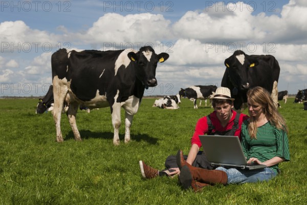 Young couple farmers in farm field with laptop and black and white cows