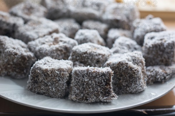 Close up of chocolate cakes with coconut flour on the ceramic plate