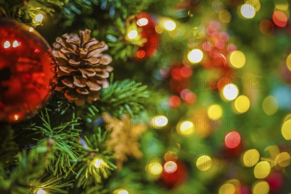 Christmas tree decoration. Shooting Location: Yokohama-city kanagawa prefecture