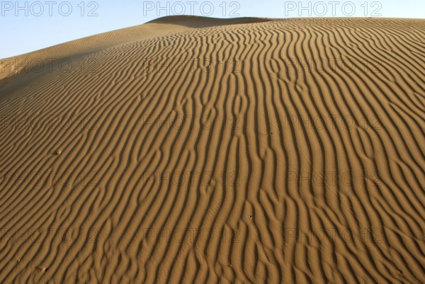 Sand dunes, Khuhri, Jaisalmer, Rajasthan, India, Asia