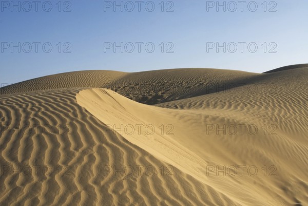 Sand dunes, Khuri, Jaisalmer, Rajasthan, India, Asia