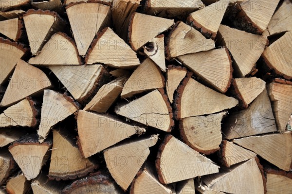 Firewood