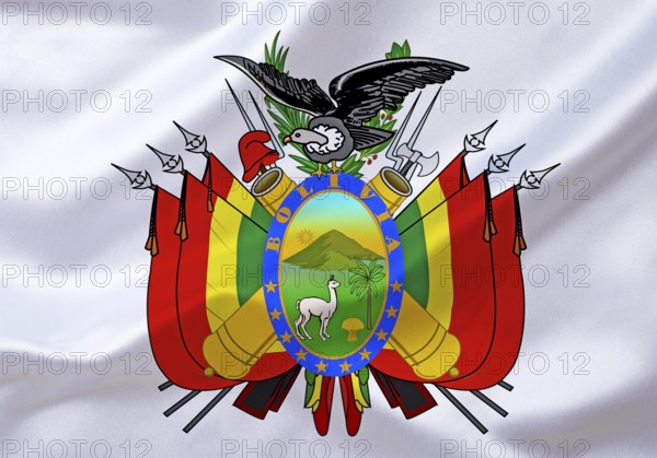 The coat of arms of Bolivia, country in South America, Studio