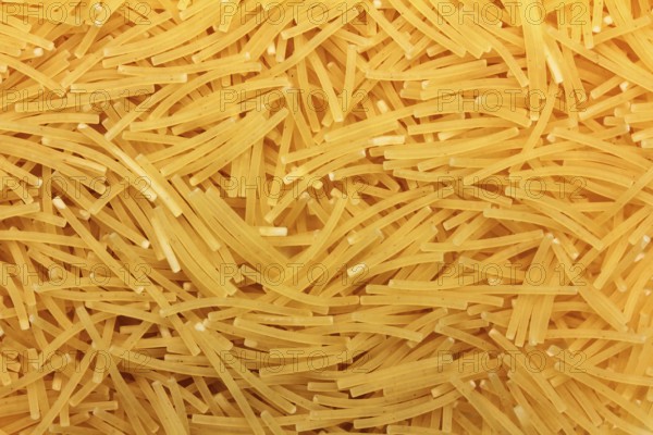 Background of small vermicelli macro