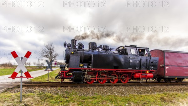 Molli train