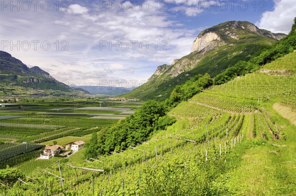 Trentino 01