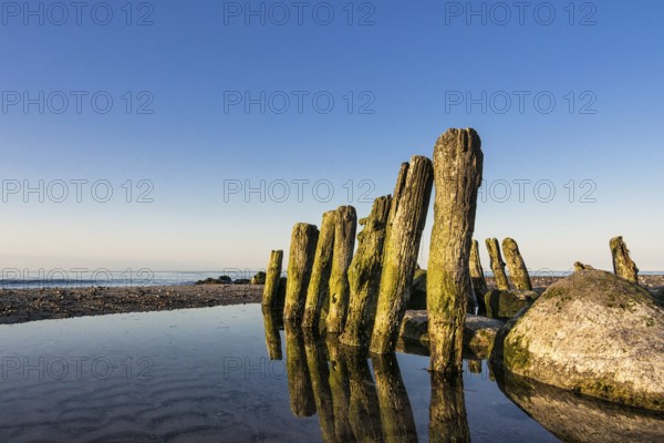 Groynes on the coast of the Baltic Sea