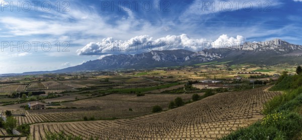 A landscape view of vineyards and mountains in the La Rioja Alavesa region of northern Spain