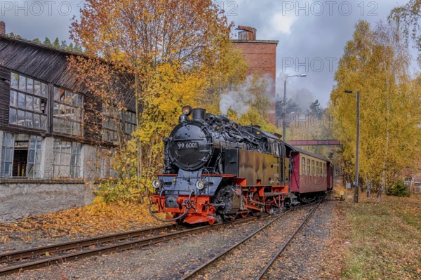 Railway Romanticism in the Selketal Harz Selketal Railway