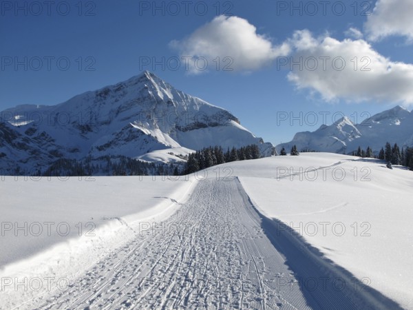 Ski slope on the Wispile, Spitzhorn