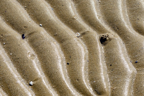 Sand texture on the beach close to the Adriatic sea in Italy