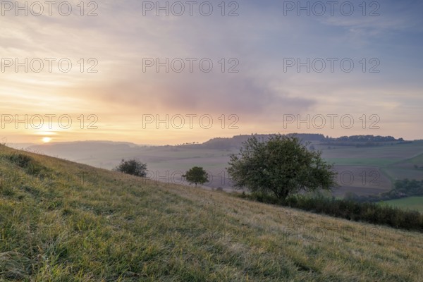Hills and trees at sunset, soft colours and a wide, peaceful landscape, Bisberg, Watterdingen, Hegau, Lake Constance region, Baden-Württemberg, Germany, Europe