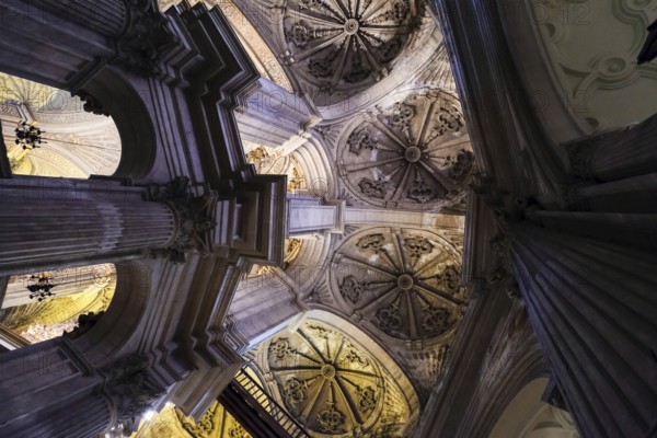 MALAGA, ANDALUCIA/SPAIN - JULY 5 : Interior View of the Cathedral of the Incarnation in Malaga Costa del Sol Spain on July 5, 2017