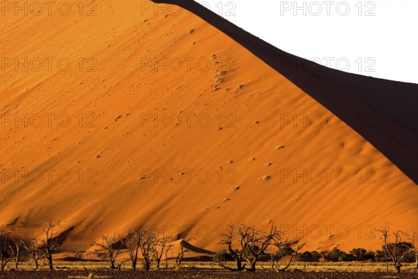 Sossulsvlei Dunes in Namib Desert, Namib Naukluft Park in Namibia