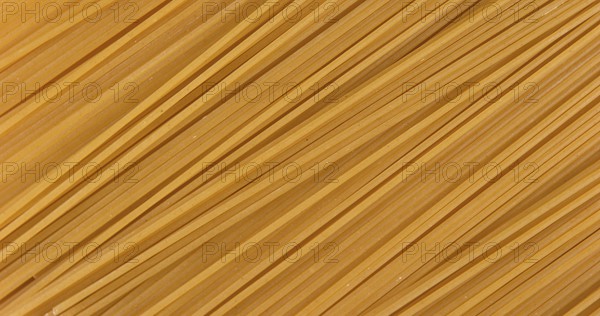 Spaghetti Pasta