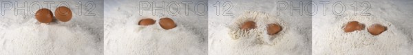 Egg Falling into Flour against White Background