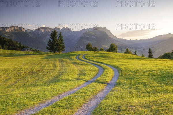 A winding path meanders across a green meadow towards the mountains at sunrise, Fähnerenspitz, Brülisau, Appenzell Innerrhoden, Switzerland, Europe