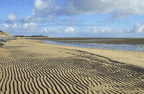 Wadden Sea on the East Coast of Sylt