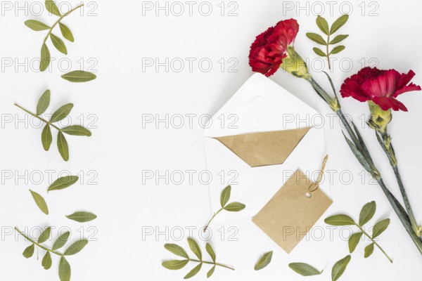 Red carnation flowers with envelope paper. Resolution and high quality beautiful photo