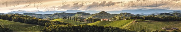 Vineyards panorama in South Styria, beginning of autumn. Austria Tuscany like spot