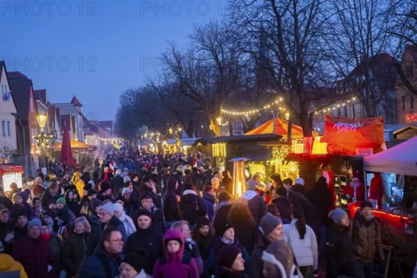 Christmas market on the village green Altkötzschenbroda Radebeul, Saxony, Germany, Europe
