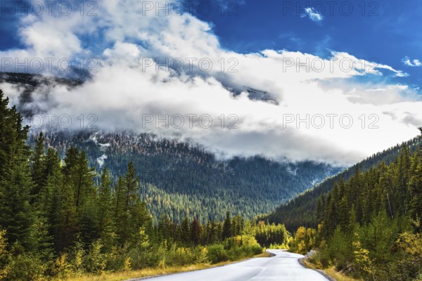 Canadian Rockies. Beautiful September day. Great Highway is among the mountains and forests yellowed