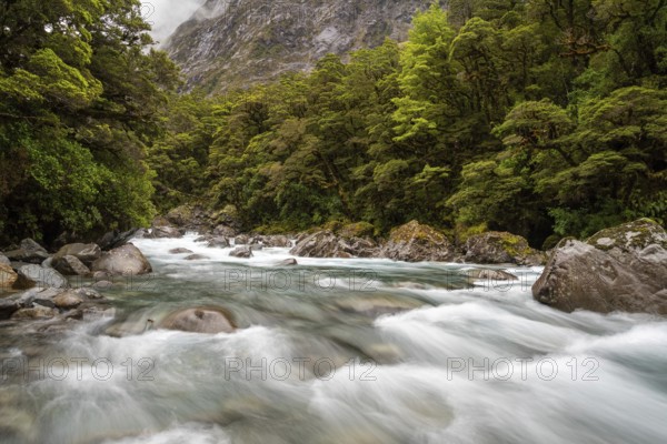 Mountainous Monkey creek flowing through impressive landscape next to Milford Sound highway, South Island of New Zealand