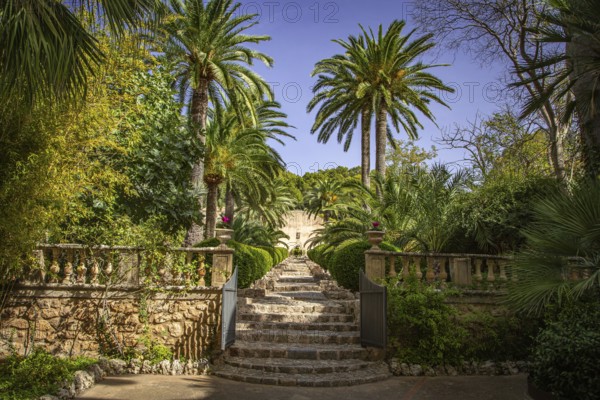 Mediterranean garden with palm trees and a stone staircase under a blue sky, Jardines de Alfabia, Bunyola, Majorca, Spain, Europe