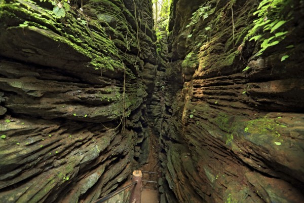 Kutumsar cave, bastar, chhattisgarh, india, asia