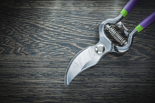 Sharp garden pruner on wooden board