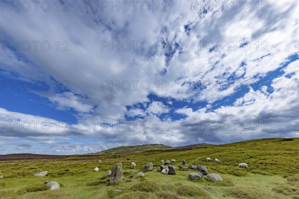 Druids Circle, stone circle in wide landscape with pastures in the mountains, Penmaenmawr, Dwygyfylchi, Caernarfonshire, Conwy County Borough, Wales, Great Britain