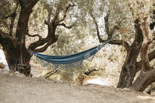 Hammock stretched between two trees