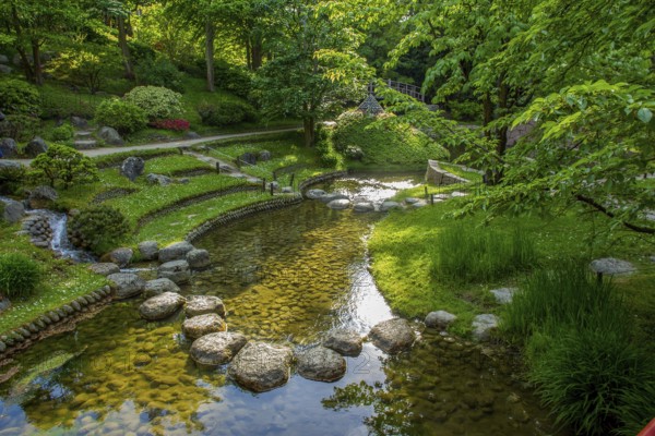 High angle View of fast stream flowing into a larger stream and azalea bushes in red blooms and small pines and juniper bushes and pathes from stones through it in japanese garden in Albert Kahn park in Paris