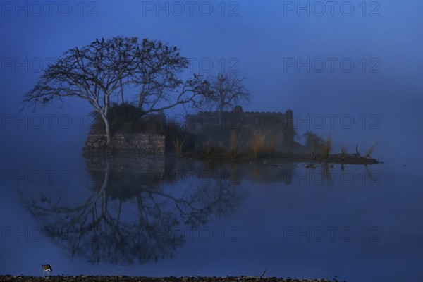 An ancient building a trees reflecting off the waters of a Blue Lake in winters in Ranthambhore national park, India, Asia